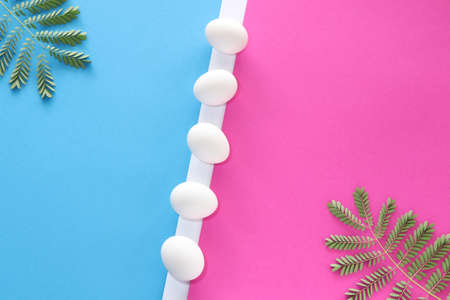 White chicken eggs with leaves on blue and pink background. Easter concept.の写真素材