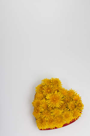 Kulbaba flowers in a shape of heart.の写真素材