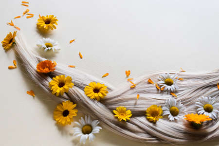 Chamomile and calendula flowers in blond hair.の写真素材
