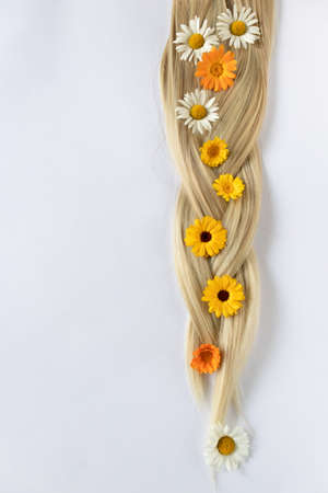 Pigtail with chamomile and calendula flowers. Blond hair.の写真素材