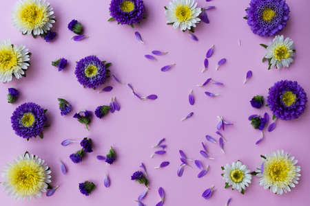 Floral background from lilac and yellow asters.