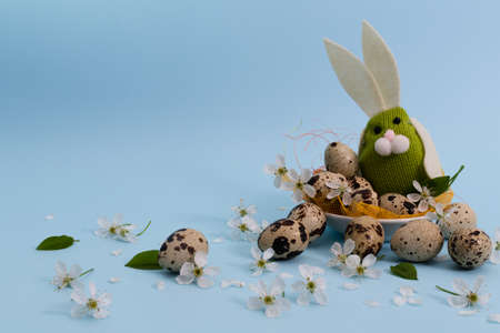 Easter rabbit with quail eggs and cherry flowers. On a blue with place for text.の写真素材