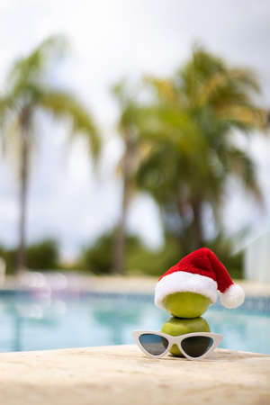 Snowman in a Christmas hat with sunglasses near swimming pool. Selective focus, blurred background.