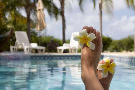 Female feet with plumeria flowers near swimming pool with view to the palm trees. Selective focus,...
