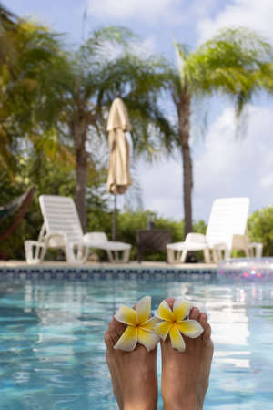 Female feet with plumeria flowers near swimming pool surrounded by the palm trees. Selective focus,...