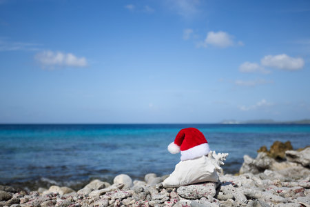 Big seashell with Christmas hat on the coral Caribbean beach. Selective focus.の写真素材