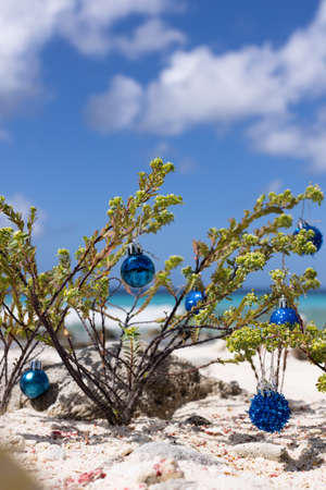 Evergreen plant on the beach decorated with Christmas balls. Christmas holidays.