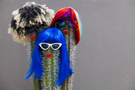 Cactuses with vibrant colours wigs, sunglasses and red lips.の写真素材