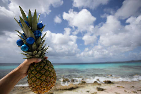 Hand holding pineapple decorated with Christmas balls on a background of the seascape.の写真素材