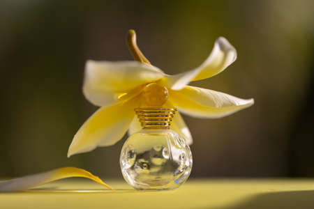 Small bottle of cosmetic liquid with a tropical flower. Selective focus.の写真素材