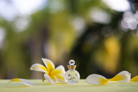 Bottle of perfume or essential oil with flower and petals. Selective focus.の写真素材