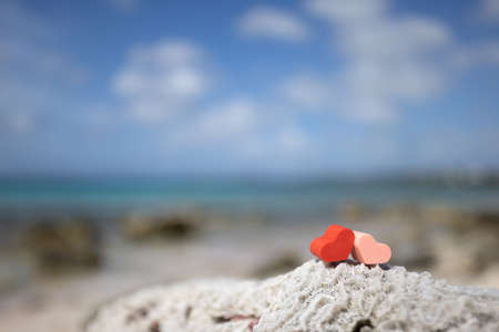 Two heart on a dead coral with azure sea behind. Selective focus.の写真素材