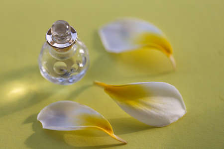 Small bottle of cosmetic liquid with floral petals. Selective focus.の写真素材