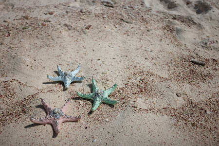 Multicoloured starfishes on the sand. Holiday concept. Selective focus.