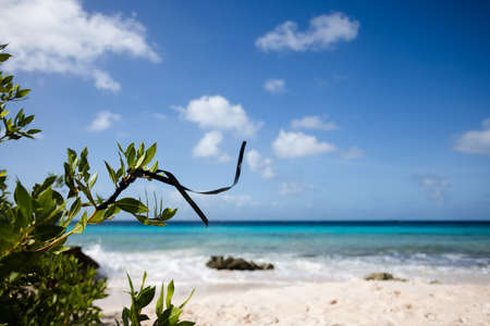 Black ribbon flying in the wind on the beach.の写真素材