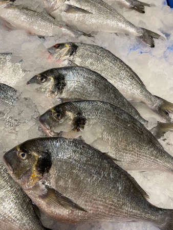 Close up of Sea breams fresh fishes on ice.の写真素材