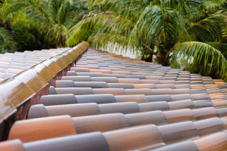 Wet roof tiles after rain with palm trees.の写真素材