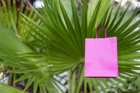 Pink paper bag on a palm leave. Mockup.の写真素材