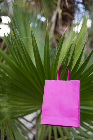 Pink paper bag on a palm tree closeup. Mockup.の写真素材