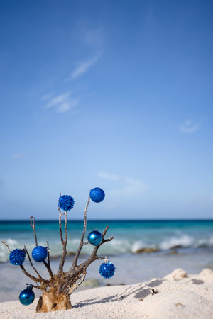 Dead corals decorated with blue Christmas balls standing on the sand beach on the white foam wave background.の写真素材