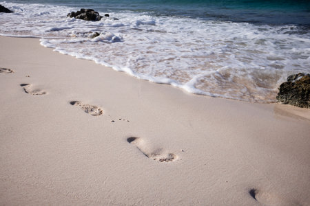 Texture background Footprints of human feet on the sand beach near turquoise sea water.の写真素材