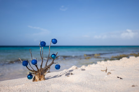 Dead corals decorated with blue Christmas balls standing on the sand beach with blue sea behind itの写真素材