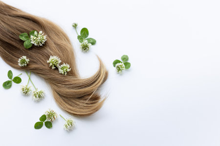 Female long hair with white clover flowers. on a white background with copy space.の写真素材