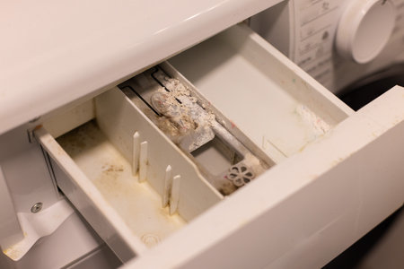 Mold, dirt and limescale in container of washing machine.の写真素材