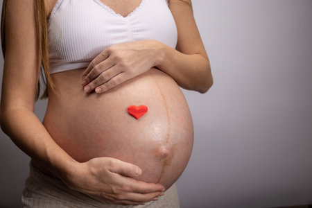 Pregnant woman with little red heart on her big belly.の写真素材
