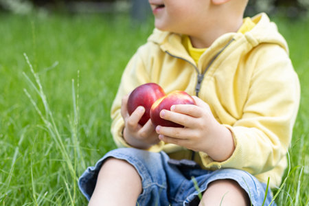 Happy little child sitting on green grass with ripe peaches in the hands. Closeup, selective focus.の写真素材