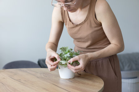 Woman looking at damaged leaves of tradescantia house plant.の写真素材