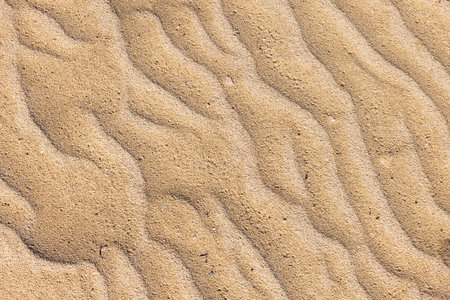 Sandy beach sand background with wave pattern, texturesの写真素材