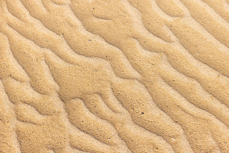 Sandy beach sand background with wave pattern, texturesの写真素材