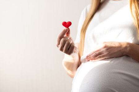 Pregnant woman holding little red heart in her hand and gently touching her big belly. Closeup.の写真素材