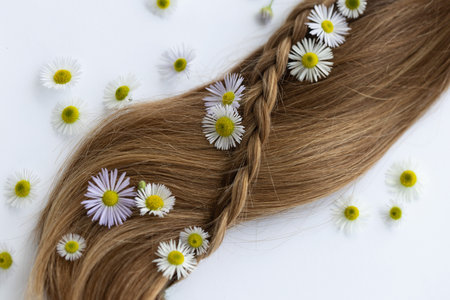 Hair with white wildflowers. On a white background with a copy space.の写真素材