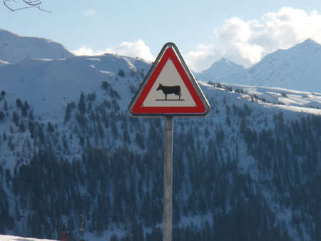 road sign in the mountainsの写真素材