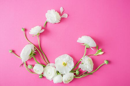 Floral pattern of white flowers on pink background. Flat lay, top view. Ranunculus flowers and buds