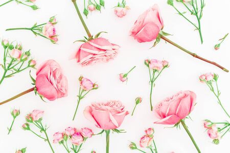 Pink roses, buds and leaves on white background. Flat lay, top view. Floral patternの写真素材
