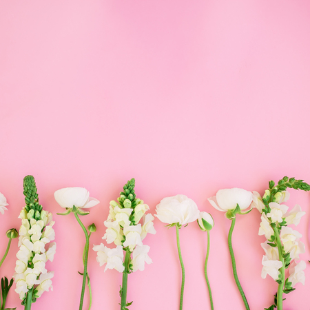 Frame of white flowers - ranunculus and snapdragonon pink background. Flat lay, top view. Floral background.の写真素材