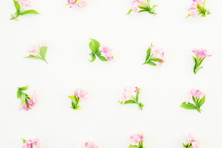 Pattern made of pink flowers and leaves on white background. Flat lay, top viewの写真素材