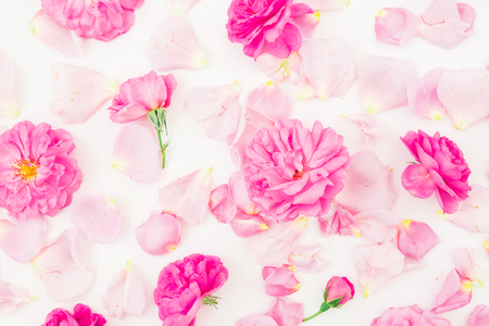 Beautiful pink rose flowers and petals on white background. Flat lay, top view. Floral patternの写真素材