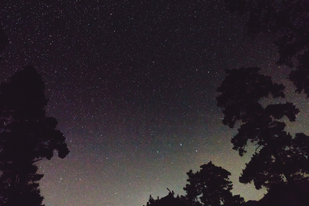 Milky Way, stars and silhouette of trees in the mountains. Night landscape