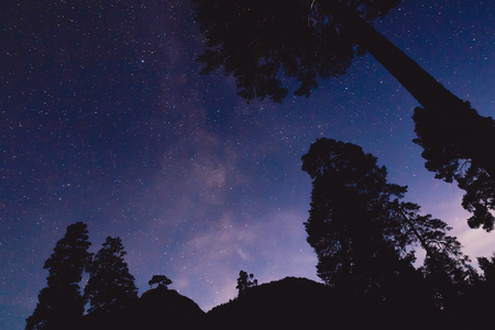 Milky Way and silhouette of trees in the mountains. Night panoramic landscapeの写真素材