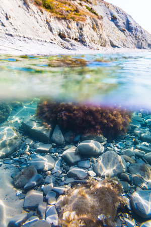 Sun rays and seaweed on stones in underwater. Clear water in sea, summer dayの写真素材