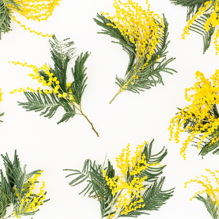 Floral frame with mimosa flowers on white background. Flat lay, top view.の写真素材