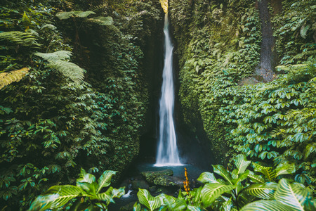 Beautiful waterfall and tropical plants in Bali, Indonesia