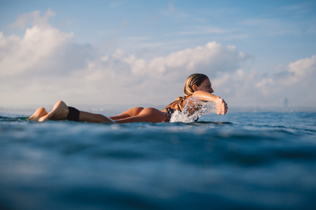 Attractive surf woman rowing on the surfboard. Woman with surfboard in the ocean. Surfer and oceanの写真素材