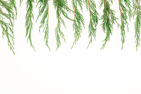 Christmas winter frame of tree branches on white background. New Year background. Flat lay, top view