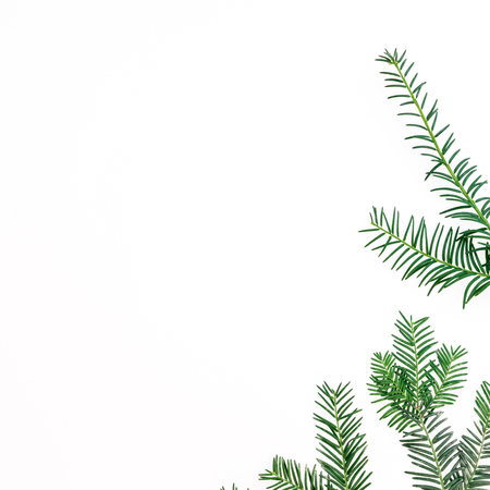 Christmas concept of winter fir branches on white background. Holiday background. Flat lay, top view