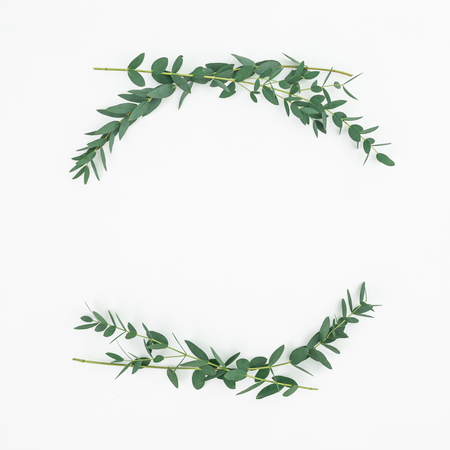 Floral frame made of eucalyptus branches on white background. Flat lay, top viewの写真素材